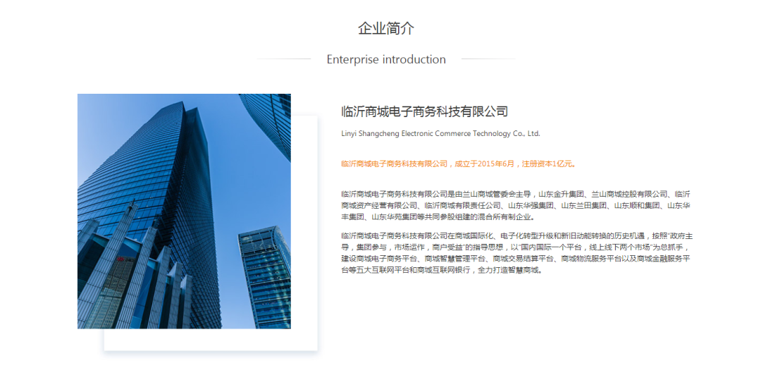臨沂商城電子商務科技有限公司簡介