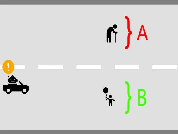 (來源:廣島大學(xué))